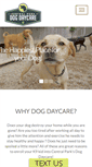 Mobile Screenshot of dogdaycareokc.com
