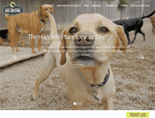Tablet Screenshot of dogdaycareokc.com